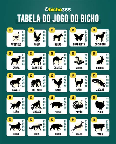 Sonhar com tartaruga no jogo do bicho: significado e interpretação